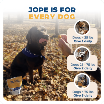 Jope Hip & Joint Dog Chews- 60 Count